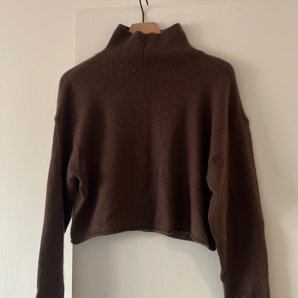 Aritzia Babaton Cashmere Turtleneck